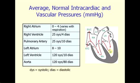 Which Chamber of the Heart Generates the Highest Pressure