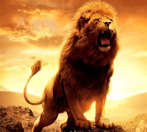 Lion Roaring 4K Ultra HD Wallpapers - Top Free Lion Roaring 4K Ultra HD ...