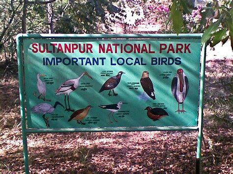 A Day at Sultanpur National Park ~ The Travelers World