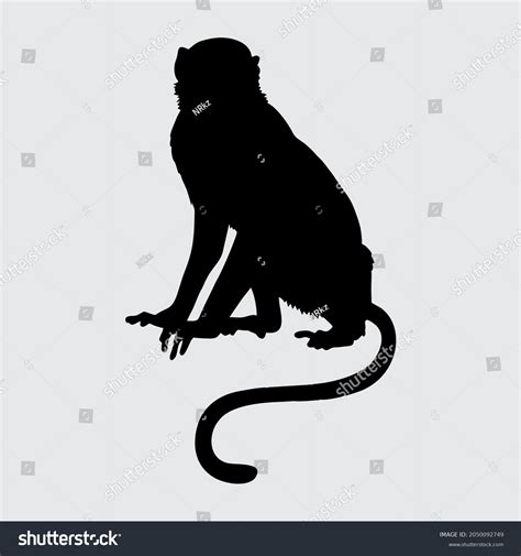 Monkey Silhouette Monkey Isolated On White Stock Vector (Royalty Free) 2050092749 | Shutterstock