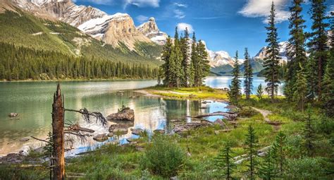 15 Stunning, Easy-to-Reach Lakes in Jasper National Park - Nickkembel ...