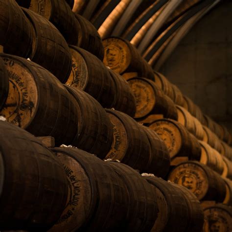 10 Different Types of Rum You Should Know