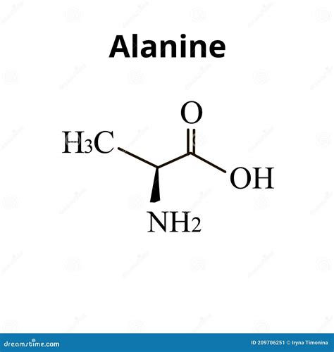 Alanine Chemical Structure. Vector Illustration Hand Drawn ...