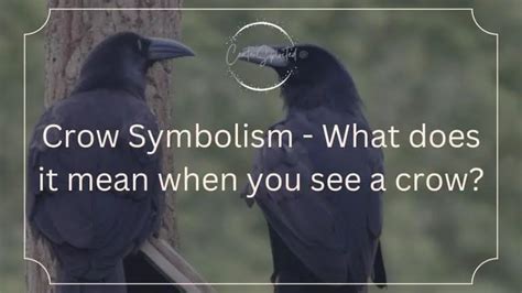 Crow Symbolism - What does it mean when you see a crow?