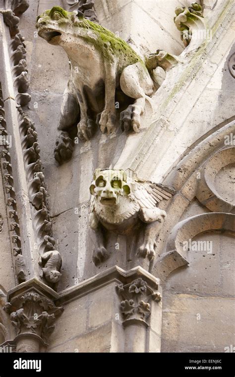 Paris, Notre Dame gargoyles statues on the gothic cathedral Stock Photo ...