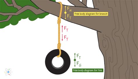 41 Free Body Diagram Calculator - Diagram Resource