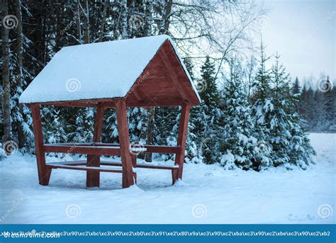 Roadside Camping in the Winter Forest Stock Photo - Image of niche ...