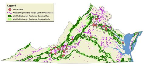 New map of wildlife habitats could lead to creation of wildlife ...