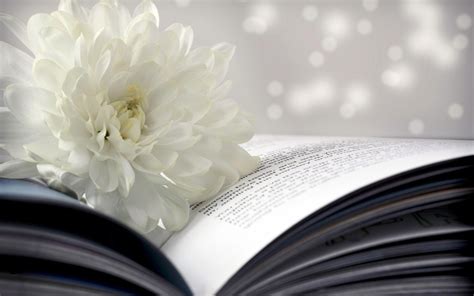 Books and Flowers Wallpapers - Top Free Books and Flowers Backgrounds - WallpaperAccess