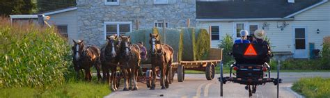 Amish Sightseeing, Bus Trips, Group Tours in Lancaster - The Amish Farm ...