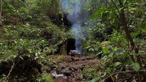 MEMBUAT GUBUK SEDERHANA DI HUTAN BELANTARA MEMASAK DI HUTAN - YouTube