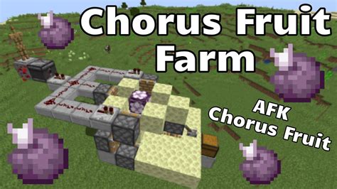 EASY Chorus Fruit Farm (AFK Chorus Fruit - Minecraft Java) - YouTube