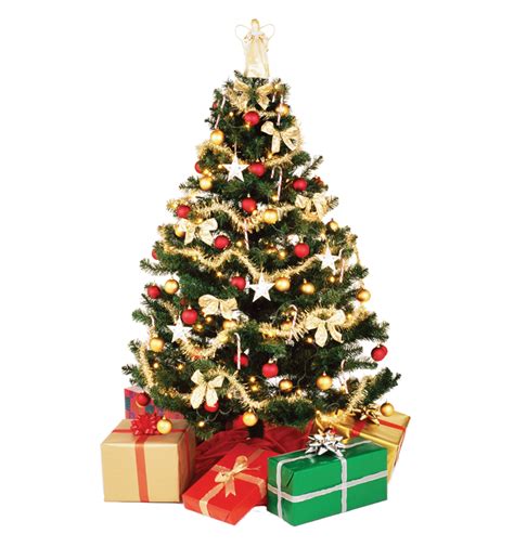 Christmas tree PNG