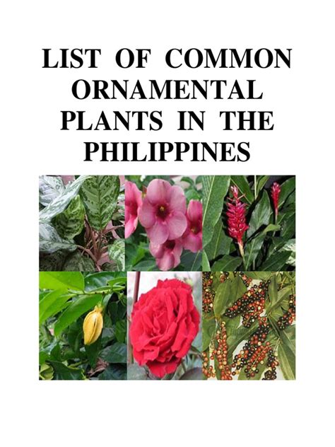 Common ornamental plants in the philippines with pictures and names ...