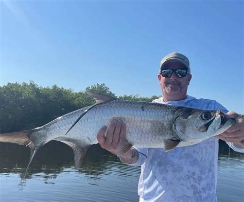 How Big Do Tarpon Get? (Average and Record Sizes)