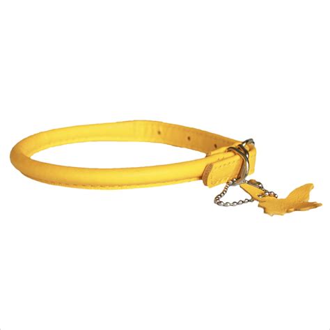 Rolled Leather Collars – Yellow – Dogs & Co