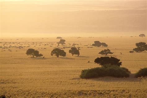 10 Biggest Grasslands In The World