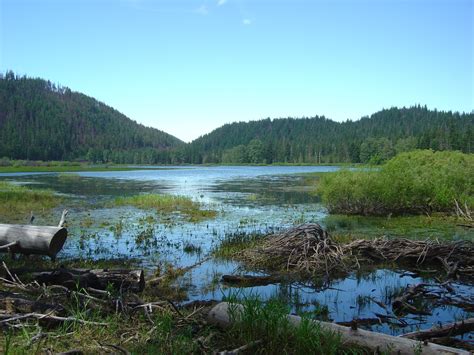 The case of the disappearing lake | Highly Allochthonous