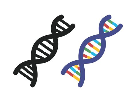 DNA clipart cartoon style. Simple DNA helix silhouette and color doodle ...