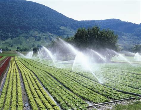 agriculture: irrigation -- Kids Encyclopedia | Children's Homework Help | Kids Online Dictionary ...