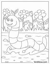 Worm Coloring Page sketch template