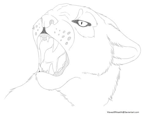 Puma - Sketch by WavesOfWealth on DeviantArt