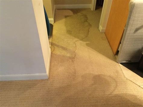 Got Flooded basement? Got wet carpet? Got wet Rug? We are here to help ...