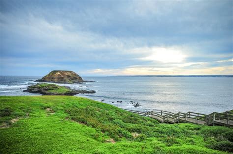 Melbourne - Phillip Island Nature Parks