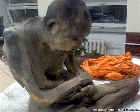 Mummified monk in Mongolia 'not dead', say Buddhists - BBC News