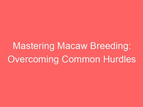 Mastering Macaw Breeding: Overcoming Common Hurdles - macawmajesty.com