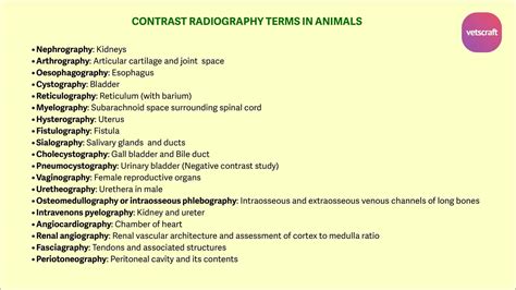 Common Terminology used in Contrast Radiography in Animals