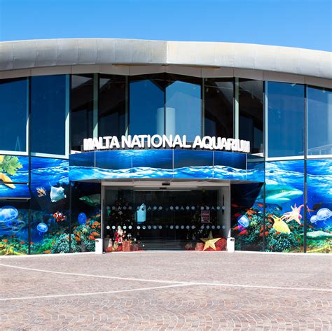 Malta National Aquarium | Fun With Kids