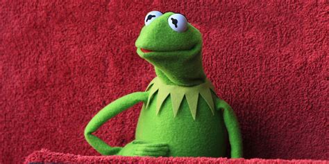 How Kermit the Frog Became a Sassy Meme