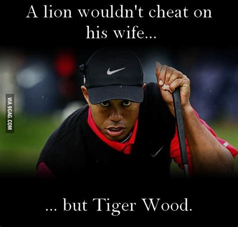 Oh Tiger