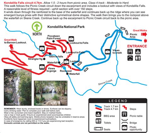 Kondalilla Falls - Maleny and Hinterland Trails