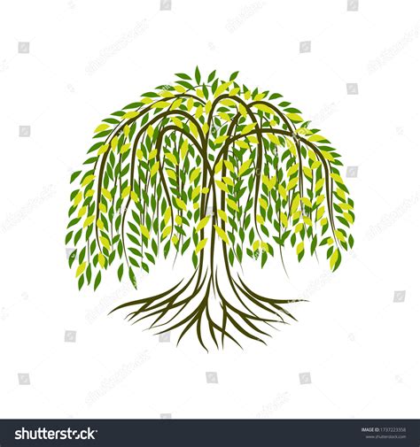 148,774 Willow Tree Images, Stock Photos & Vectors | Shutterstock