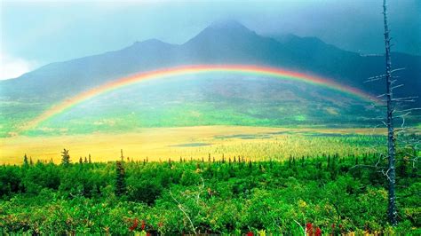 Green Valley Rainbow HD Rainbow Wallpapers | HD Wallpapers | ID #45584