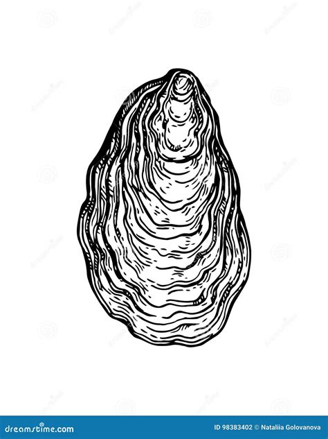 Oyster Stock Image | CartoonDealer.com #55335253