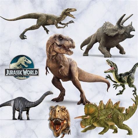 3D Jurassic World Kid's Room Wall Stickers | Kids room wall stickers ...