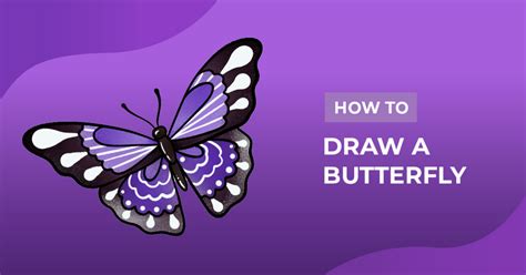 How to Draw a Butterfly | Design School