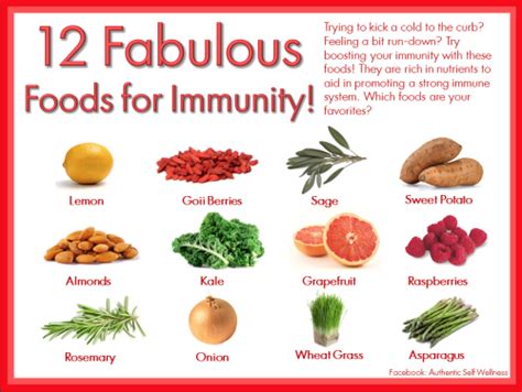 The Best Immunity Boosting Foods — SeayStanford.com