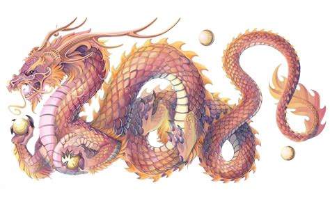 Top 30 hình nền động vật con rồng châu á ấn tượng cho máy tính | Chinese dragon drawing, Korean ...