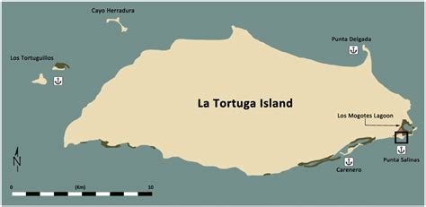 Tortuga Bay Map