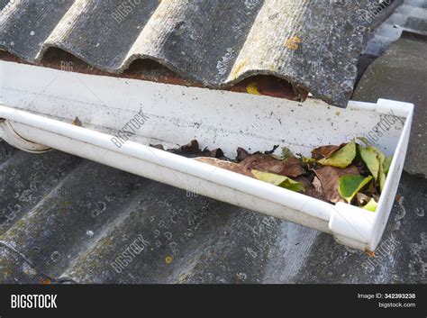 Cleaning Rain Gutters Image & Photo (Free Trial) | Bigstock