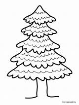 Fir Tree Coloring Page Pages sketch template