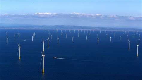 Marine life must be protected and restored as wind farms are rolled out ...