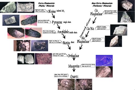 Bowen's Reaction Series/Igneous Rock Forming Minerals