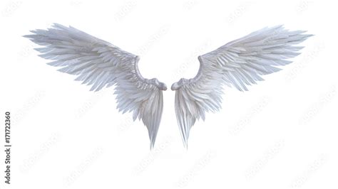 3d Illustration Angel wings, white wing plumage isolated on white background. Stock Illustration ...