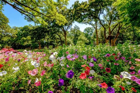 Grapevine Botanical Gardens at Heritage Park - GoGrapevine