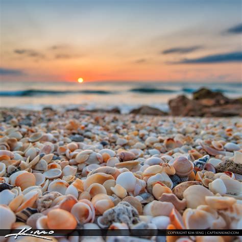 Sunrise with Shells at Beach | HDR Photography by Captain Kimo